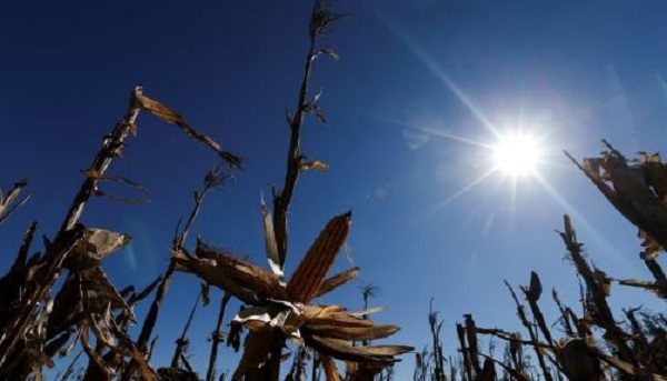 La pandemia se convirtió en oportunidad única en la lucha contra el cambio climático