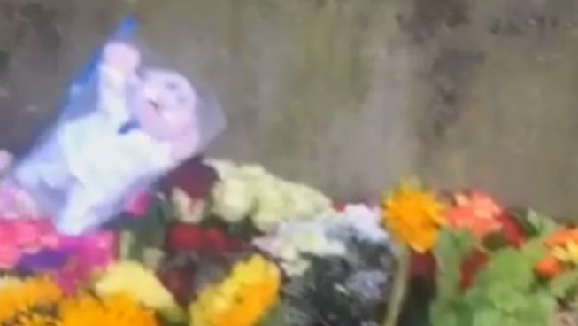 Dejan Dr. Simi de peluche en ofrenda a la Reina Isabel II; se viraliza