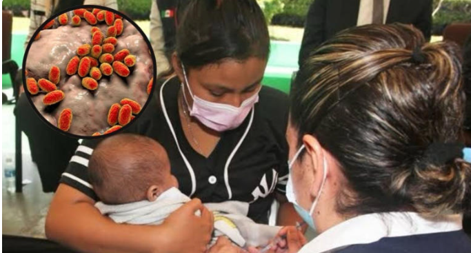 Se disparan casos de tos ferina en Chihuahua con 85 pacientes confirmados