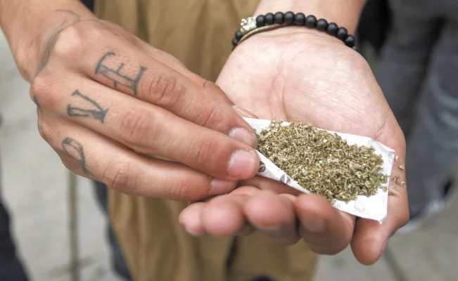 Legalización de cannabis, "con enfoque de salud", dicen