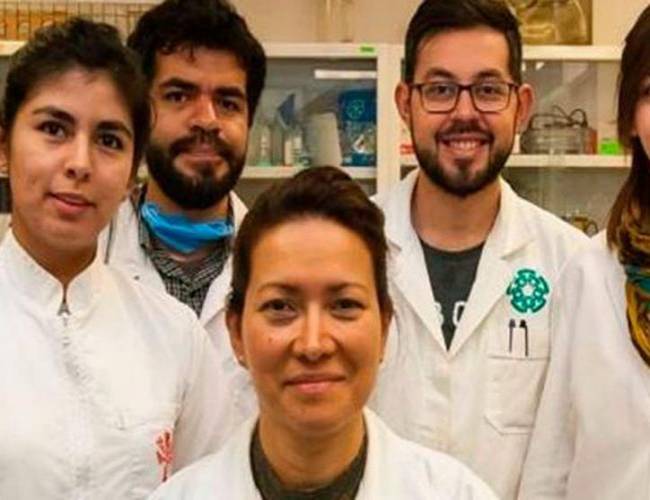 Investigadores del IPN logran combatir el virus del papiloma humano