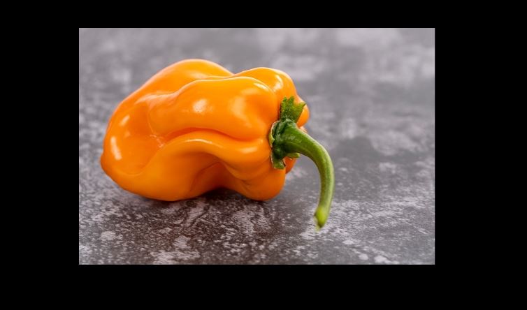 Ocho datos del chile habanero que te dejarán impresionado