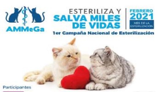 Incluyen a Yucatán  en campaña nacional gratuita de esterilización para gat@s