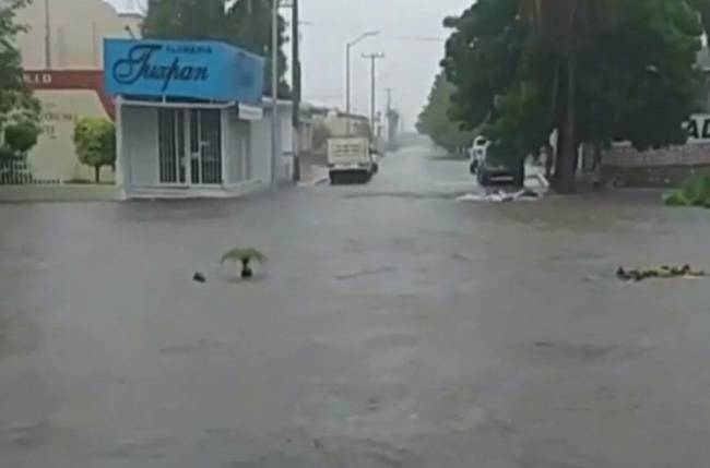 2 muertos, 5 desaparecidos y cientos de casas afectadas por lluvias en México