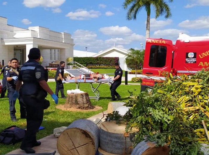Mérida: Con fracturas terminan trabajadores que cortaban ramas en un templo