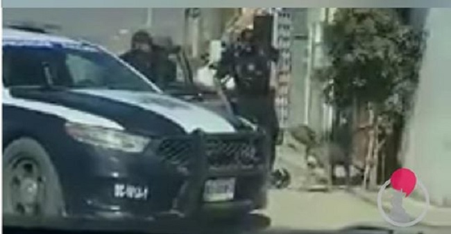(VÍDEO) Policía de Tijuana dispara a Pitbull y lo mata