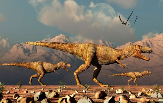 NatGeo: Estudio científico revela cuántos T-Rex vivieron en la Tierra