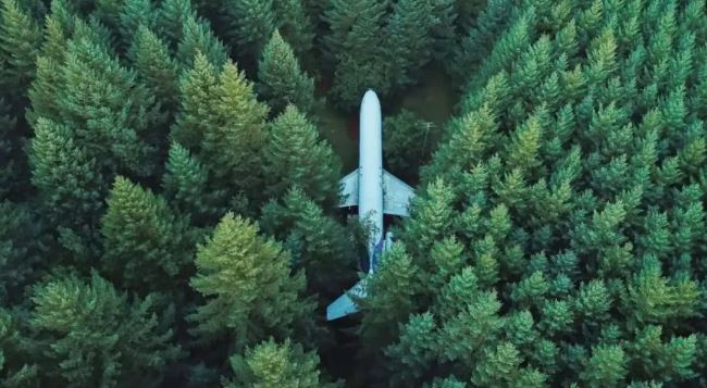 En este bosque cayó un Boeing 727 y se puede ver en Google Maps