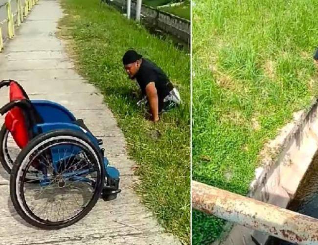 Video: Atleta paralímpico se baja de su silla de ruedas para rescatar a un gato