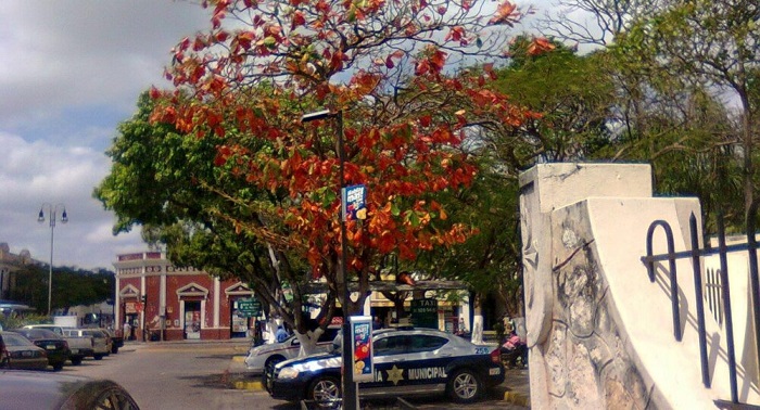 Mérida: Encapuchado ataca a mujer en Santiago
