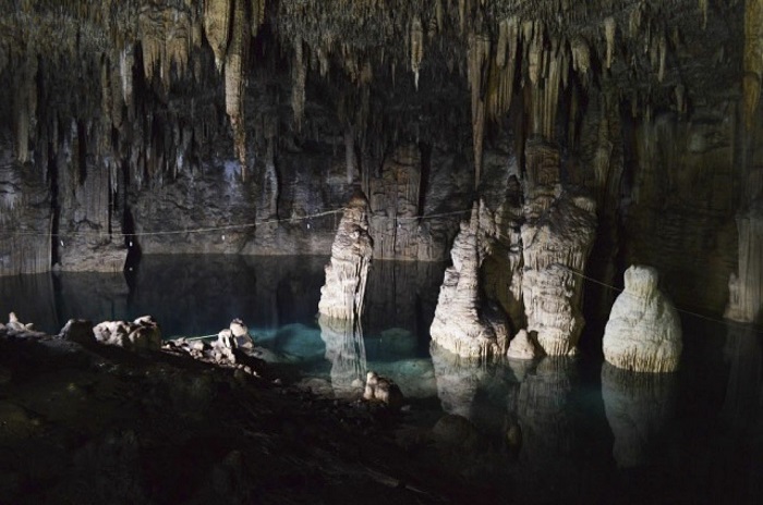 Granja porcina contaminaría cenotes de Yucatán, dice Greenpeace a la Corte