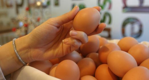 Yucatán: Garantizan abasto de huevo, pollo y pavo durante la contingencia sanitaria