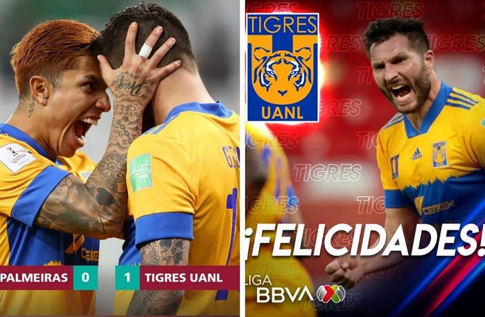 Tigres: Le llueven felicitaciones por llegar a la Final del Mundial de Clubes