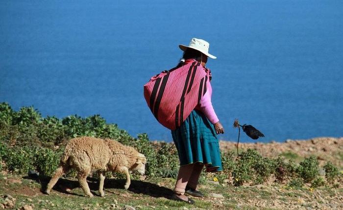 Pueblos indígenas podrían llegar a desaparecer tras impacto del coronavirus