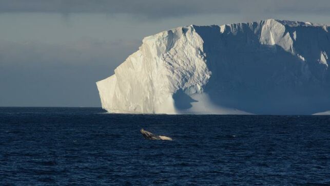 Antártida y Groenlandia pierden hielo seis veces más rápido que en los 90´s