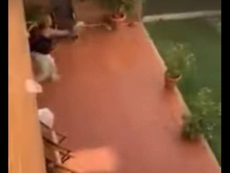 (VIDEO) Mujer tiene un arranque de ira y lanza a su perrita al suelo