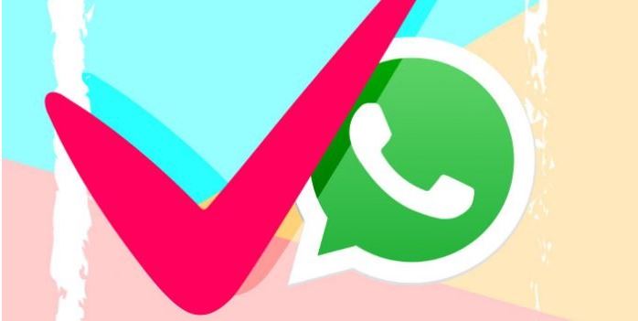WhatsApp: Así puedes crear encuestas desde la aplicación