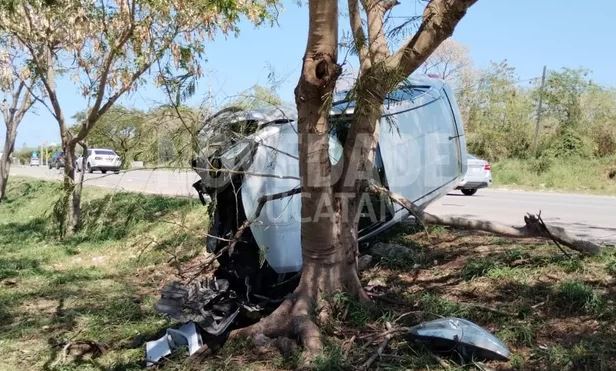 Mérida: Esquiva un auto coche se estrella contra un árbol en Periférico