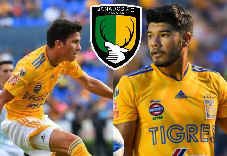 Jugadores de Tigres reforzarían a Venados FC