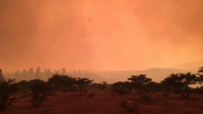 Evacúan a 25,000 personas por incendio forestal en Chile