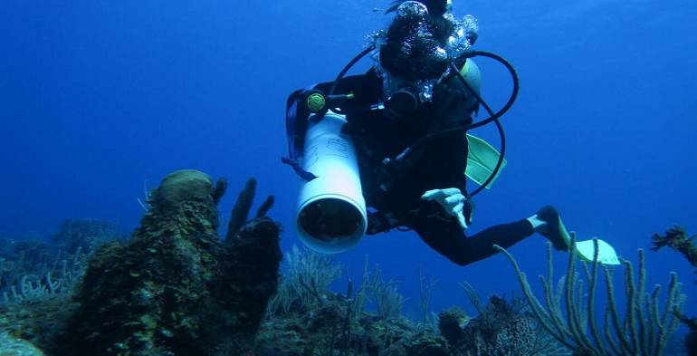 Fundación Eco-Bahía y centros de investigación trabajan en la conservación del arrecife coralino