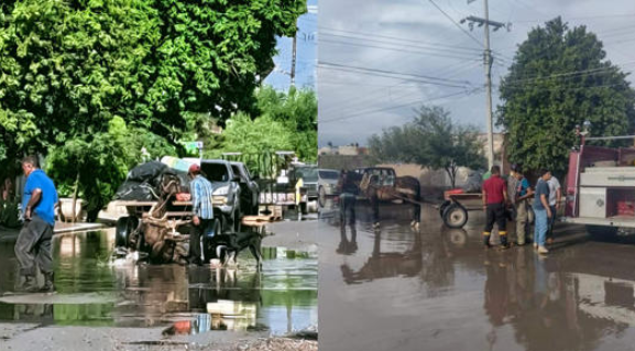 Caballo que jalaba carromato cae a alcantarilla abierta; no se veía por las lluvias