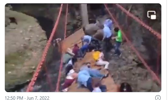 En plena inauguración Colapsa puente colgante en Morelos: 8 heridos