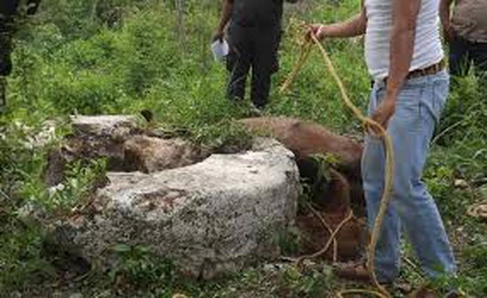 Mérida: Pareja de abuelitos tomaba cerveza y la mujer muere al caer a pozo seco
