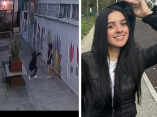 Video de Shakti, quien está extraviada, muestra que habría sido agredida por su novio