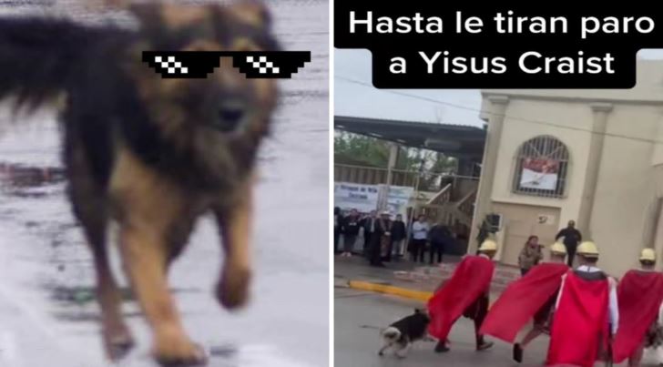 (VÍDEO) Coahuila: Perro callejero defendió a protagonista de Jesucristo en el víacrucis