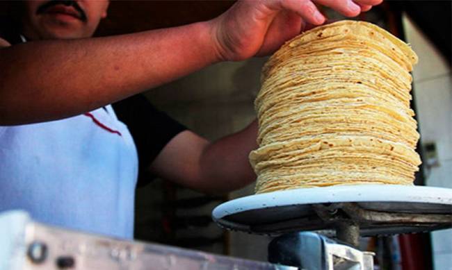 En agosto aumentará el precio de la tortilla en Yucatán