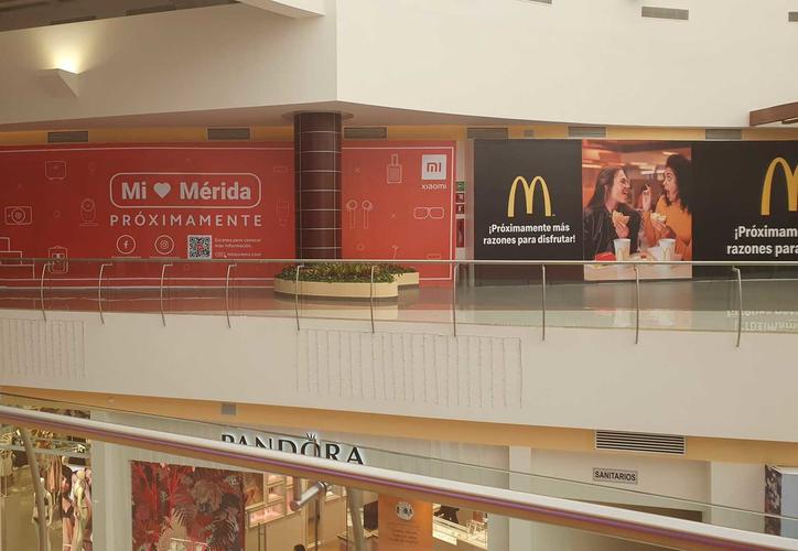 Mérida: Xiaomi empresa de tecnológica china abrirá su primera tienda