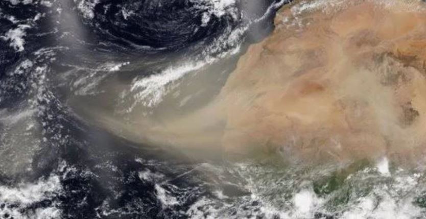 Nube de polvo del Sahara llega hoy a México, ¿Hay riesgos para la salud?