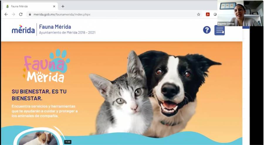 Presentan “Fauna Mérida” plataforma para promover el bienestar de animales de compañía