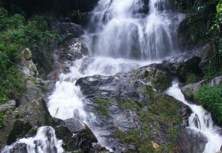 Francés fallece por intentar tomarse una selfie en una cascada