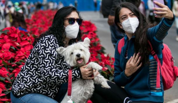 Yucatán: Proponen que las mascotas tengan su acta de nacimiento