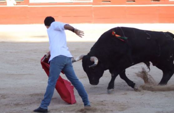 Mérida: Dan trato de delincuente a "Michelito" por entrar como espontáneo a la Plaza de Toros