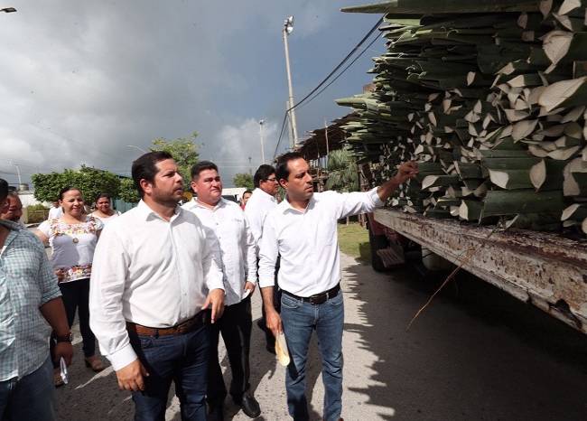 Yucatán ejercerá $22 millones para impulsar el cultivo del henequén