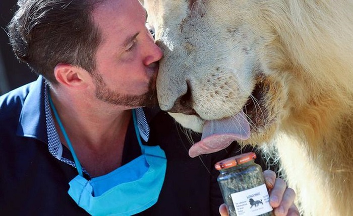 Salvó al circo vendiendo excremento de león ¿Para qué lo usan en casas de Alemania