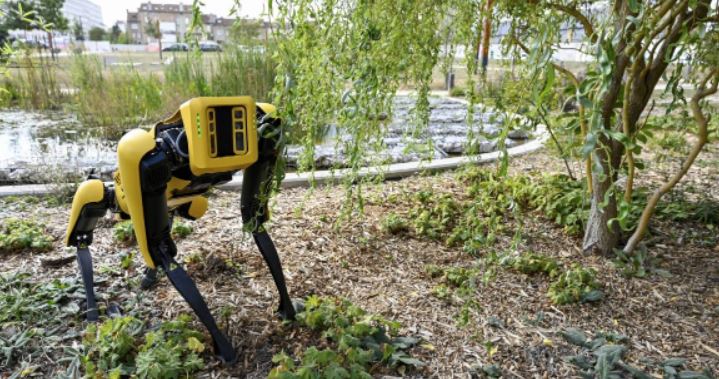 (VÍDEO) Perros robots hacen respetar la cuarentena en China