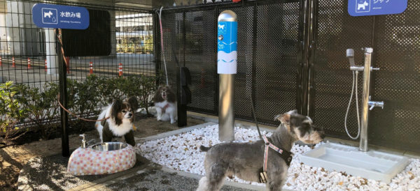 Japón abre baño para perros viajeros