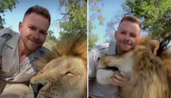 (VÍDEO) Hombre se hace mejor amigo de un león poniendo en riesgo su vida
