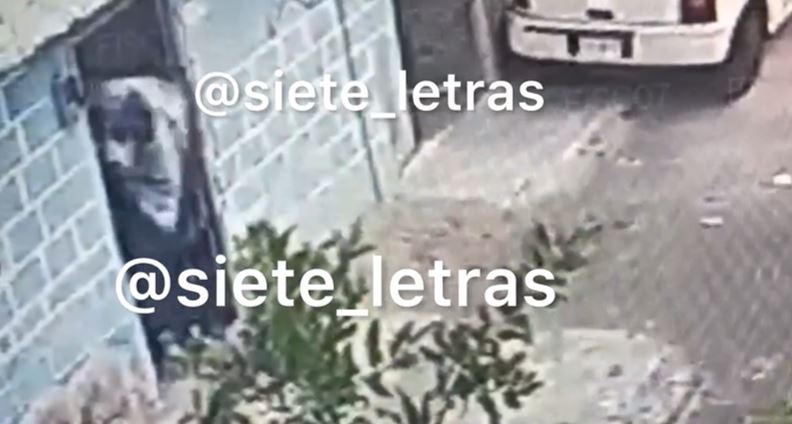 (VIDEO) Morelos: Feminicida cargaba el cuerpo de su víctima en una bolsa