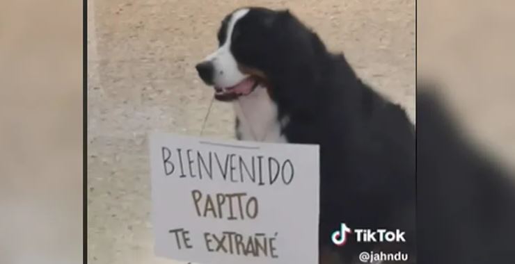 Perrito recibe a su dueño en aeropuerto de Colombia y se hace famoso