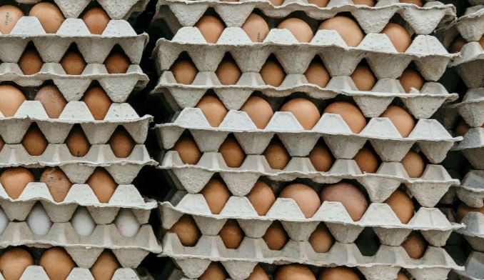 México: Las 5 ciudades donde el kilo de huevo es más barato y Mérida no está