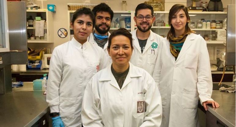 Científicos mexicanos eliminan Virus del Papiloma Humano