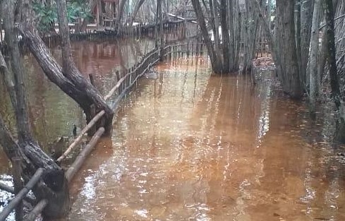 La naturaleza “implacable” con El Corchito “: 14 días inundado