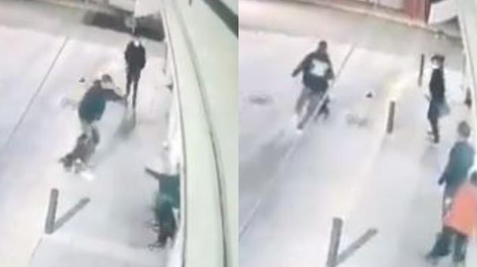 (VÍDEO) Sujetos armados roban perrito a un niño cuando éste lo paseaba