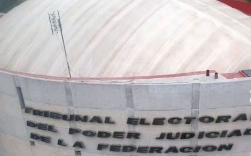 ¡Segunda victoria!; TEPJF declara nulidad de procedimientos contra Salinas Pliego