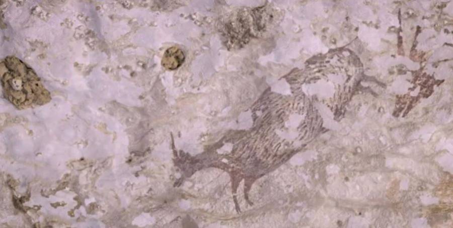 Hallan en Indonesia la pintura rupestre más antigua de la humanidad
